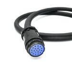 socapex cable female side