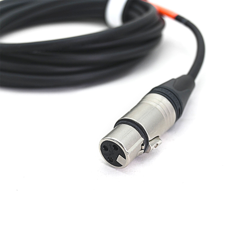 XLR cable