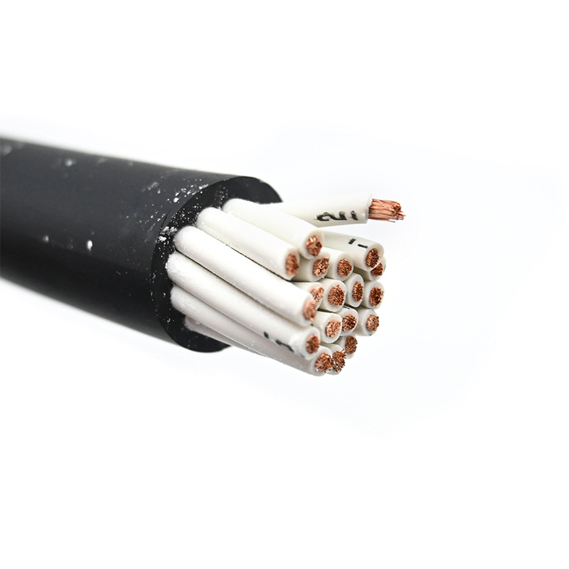 19 core socapex bulk cable