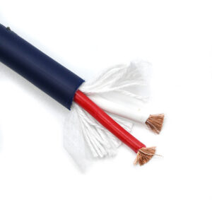 What Type of Cable Is Best for Speakers? dsc 2417 112