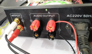 Binding Post and Banana Plug